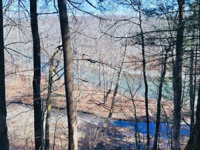 Land for sale in Cornwallville, New York