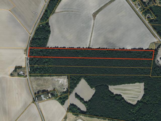 Land for sale in Faison, North Carolina