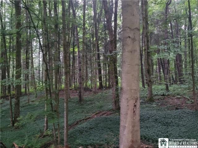 Land for sale in Cherry Creek, New York