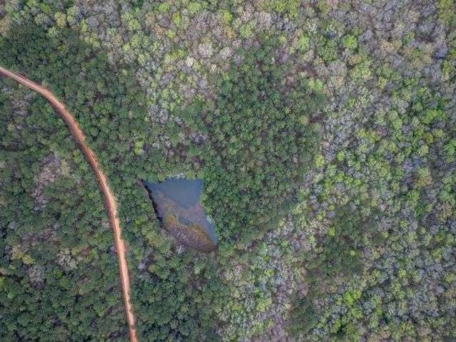 Land for sale in Greenville, Georgia