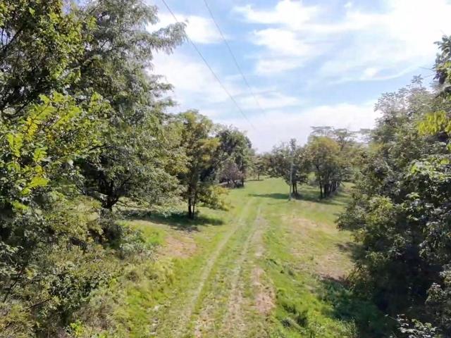 Land for sale in Berry, Harrison County