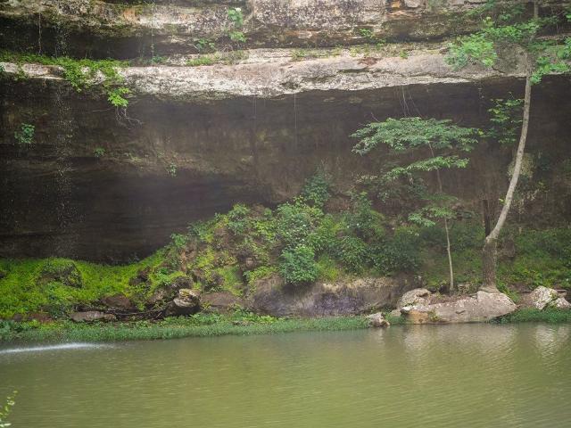 Land for sale in Tuscumbia, Colbert County