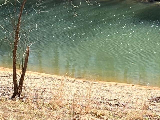 Land for sale in Tennessee