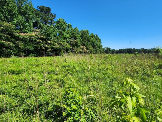 Land for sale in Washington, North Carolina