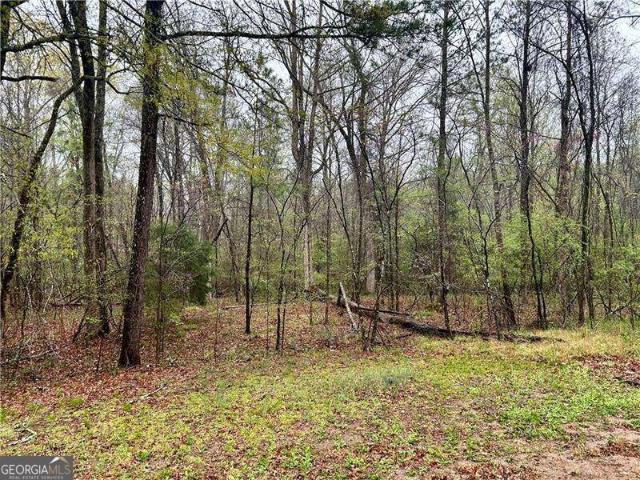 Land for sale in Lindale, Georgia