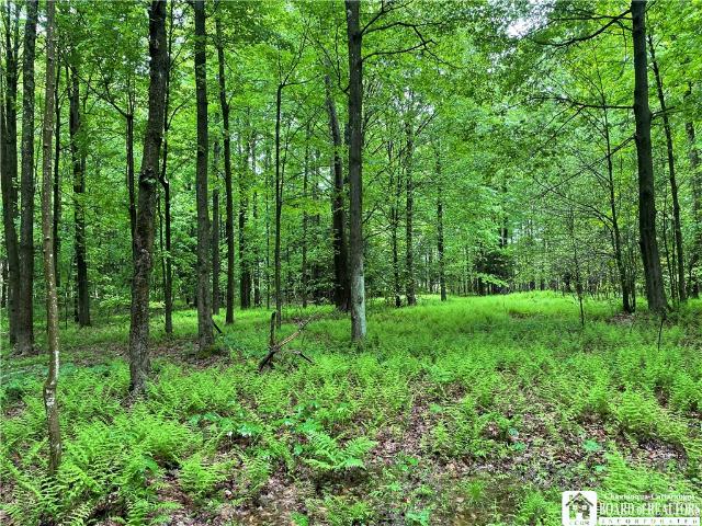 Land for sale in Ellery, New York