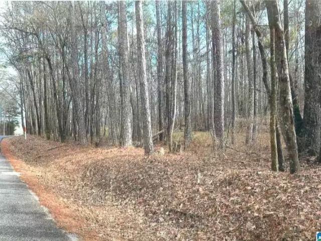 House for rent in Cropwell, Alabama