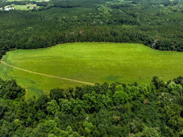 Land for sale in Evans, Georgia