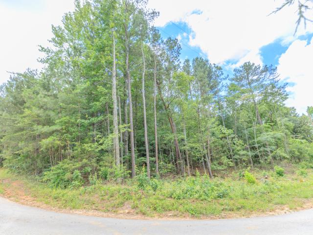 Land for sale in Chickamauga, Georgia