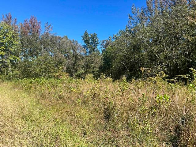 Land for sale in Tennessee