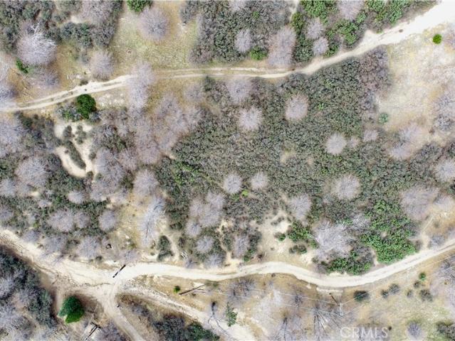 Land for sale in Cedar Glen