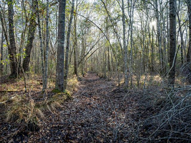 Land for sale in Helena, Georgia
