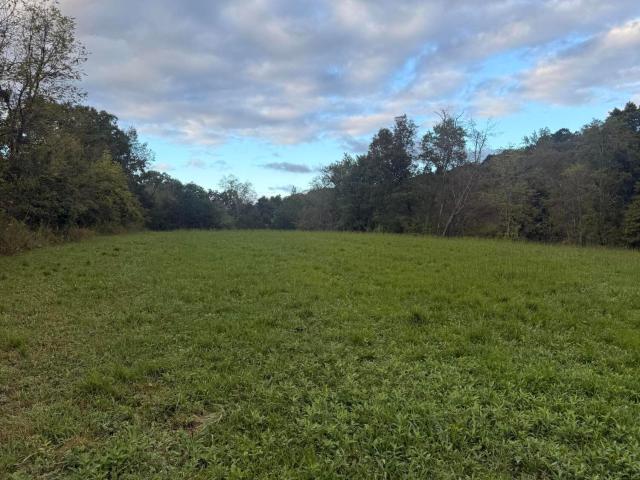 Land for sale in East Bernstadt, Laurel County