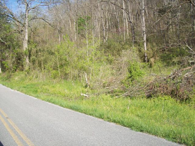 Land for sale in Tennessee