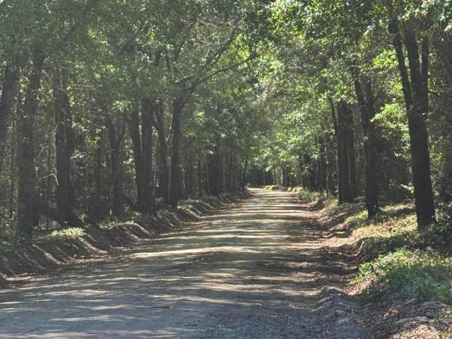 Land for sale in Aiken, South Carolina
