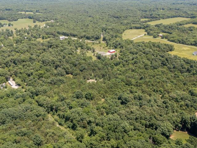 Land for sale in Shelbyville, Middle Tennessee
