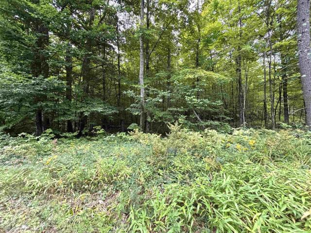 Land for sale in New Hampshire