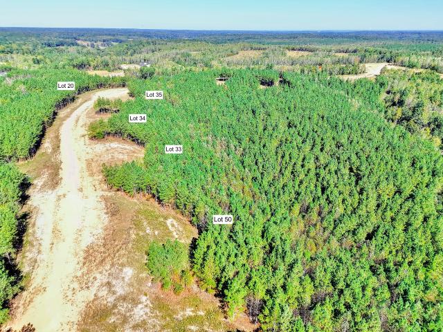 Land for sale in Erin, Middle Tennessee