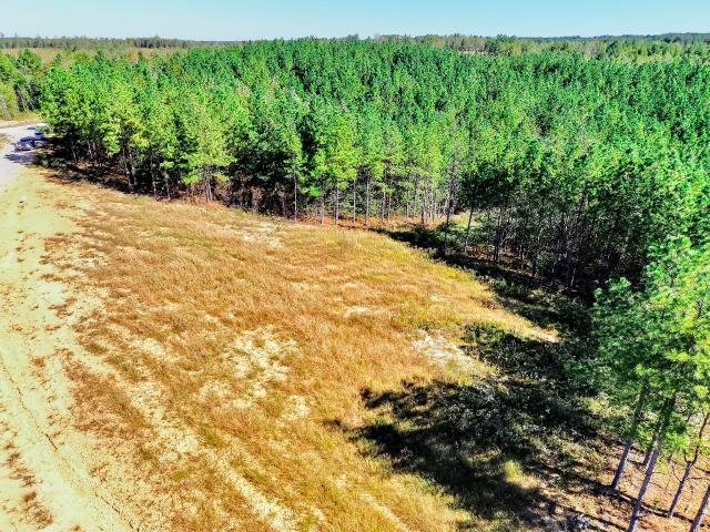 Land for sale in Erin, Middle Tennessee