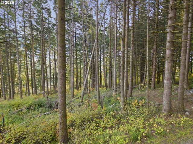 Land for sale in North Bonneville, Washington