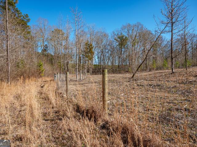 Land for sale in White Plains, Georgia