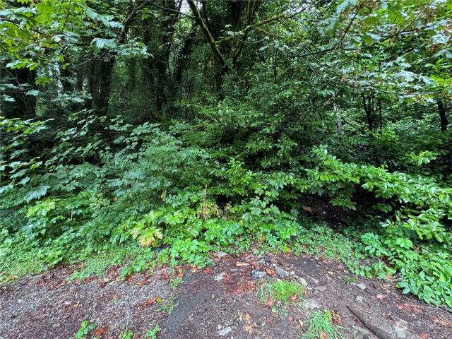 Land for sale in Aberdeen, Washington