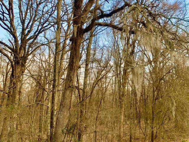 Land for sale in Lakeridge, Clinton