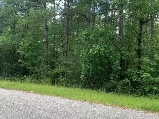 House for rent in Tuskegee