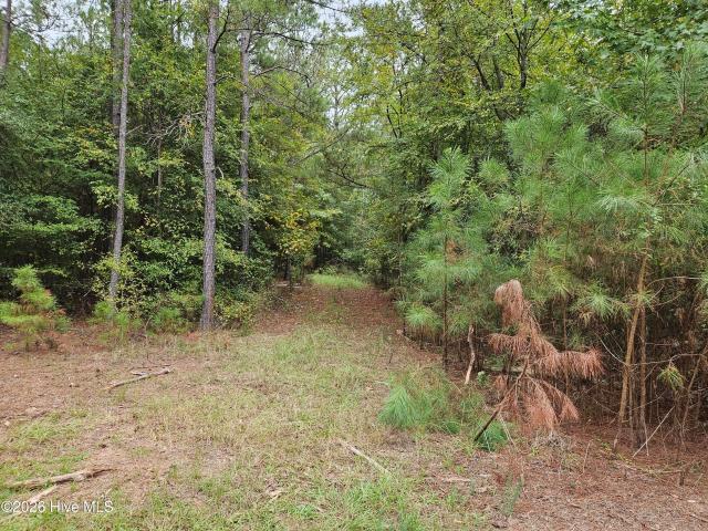 Land for sale in Lincolnton, Lincoln County