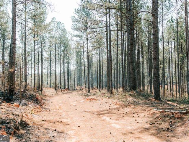 Land for sale in Carlton, Georgia