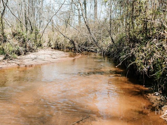 Land for sale in Carlton, Georgia
