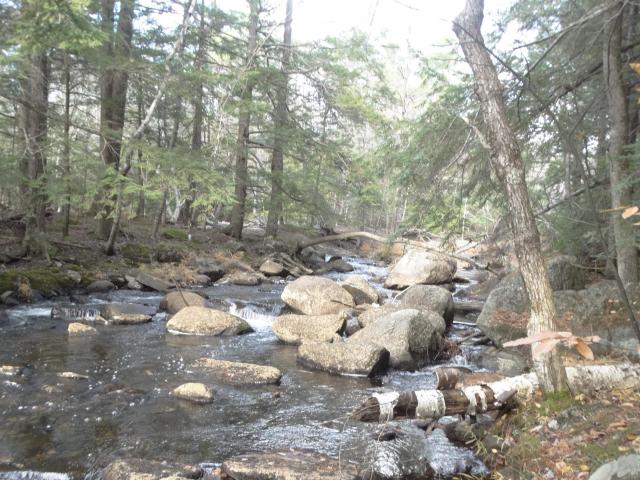 Land for sale in New Hampshire