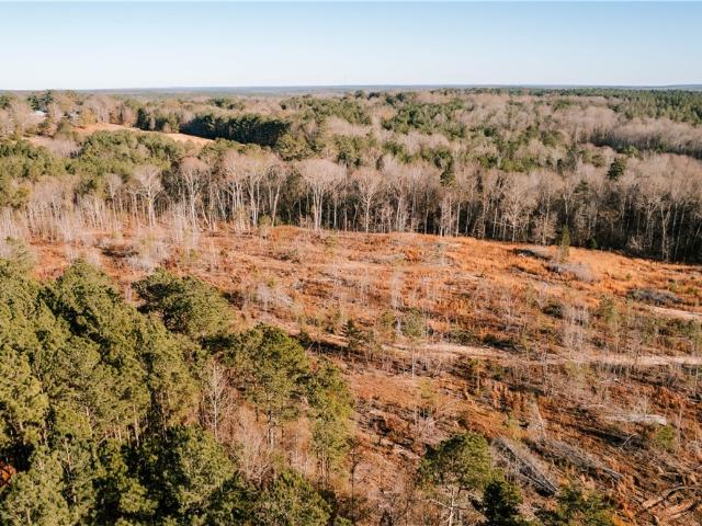 Land for sale in Carlton, Georgia