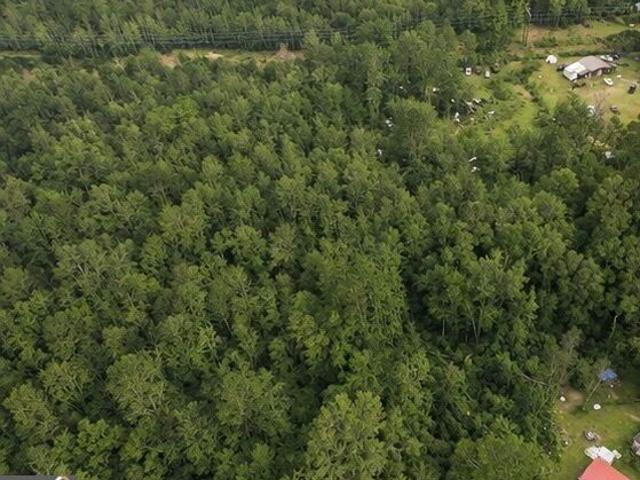 Land for sale in Sardis, Georgia