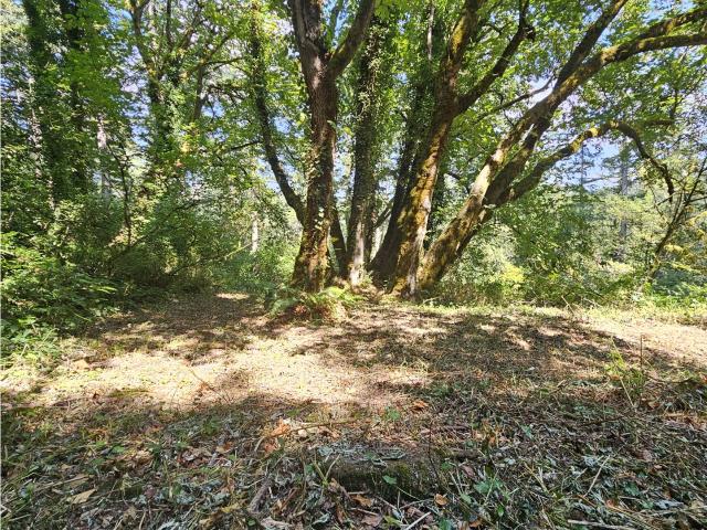 Land for sale in Washougal, Washington