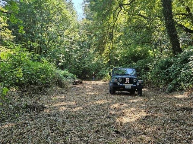 Land for sale in Washougal, Washington