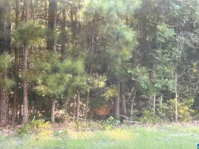 House for rent in Talladega House for rent in Talladega