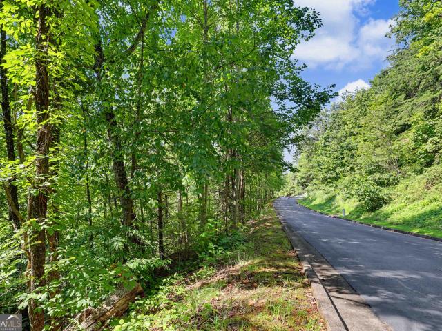 Land for sale in Clayton, Georgia