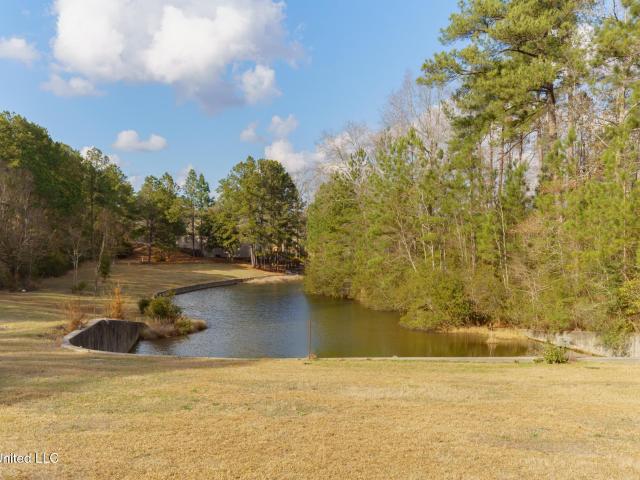 Land for sale in Hattiesburg, Mississippi