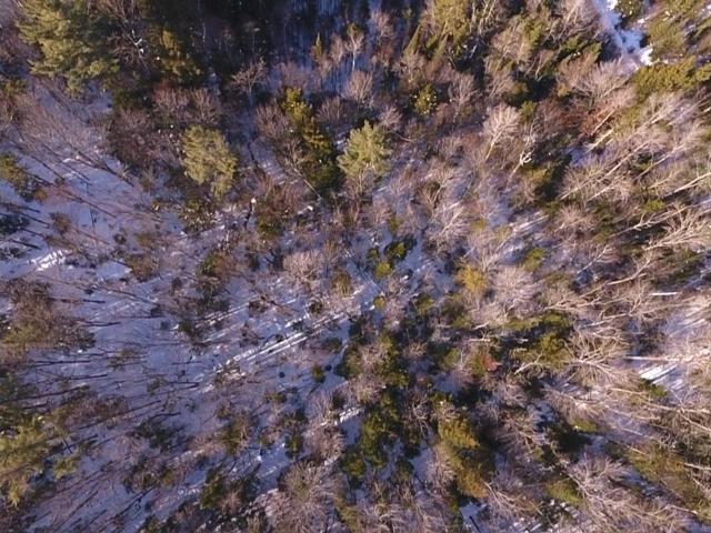 Land for sale in Lower Waterford, Vermont