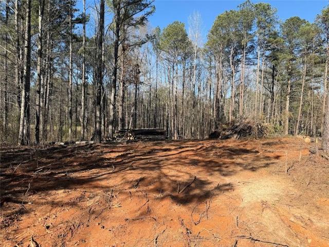 Land for sale in Haralson, Georgia