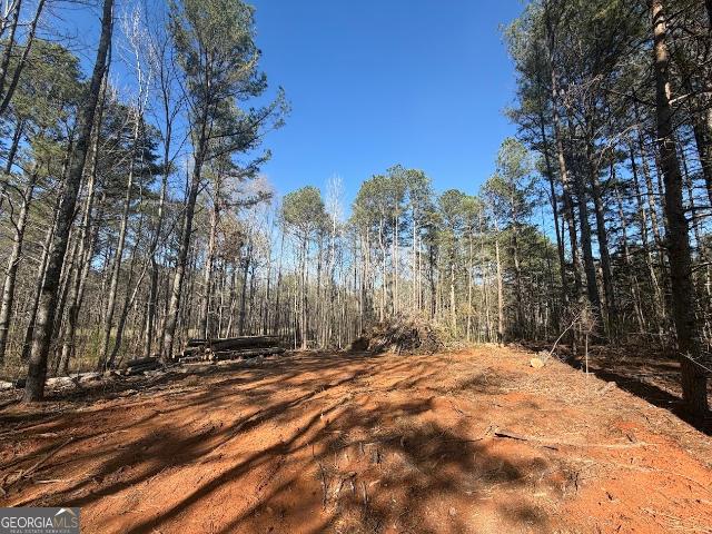 Land for sale in Bremen, Haralson County