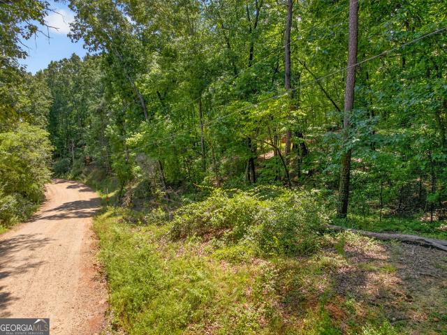 Land for sale in Clarkesville, Habersham County