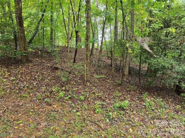 Land for sale in Rutherford, North Carolina