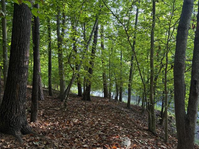 Land for sale in Runaway Bay, Lynch Station