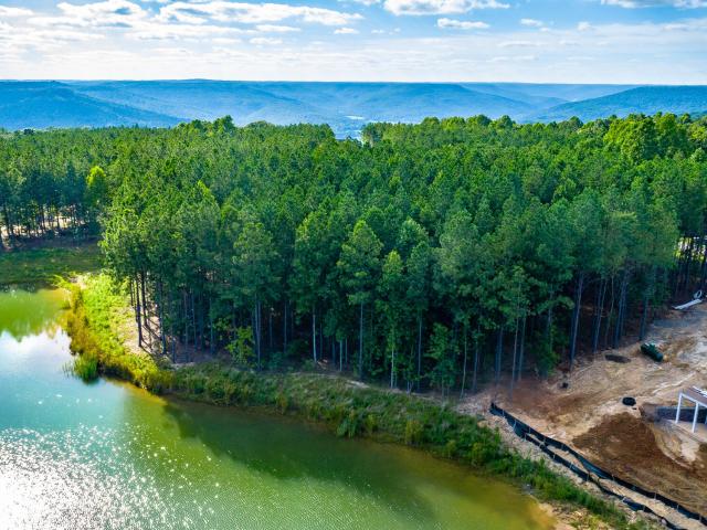 Land for sale in Tennessee