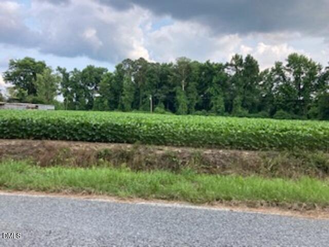 Land for sale in Turkey, North Carolina