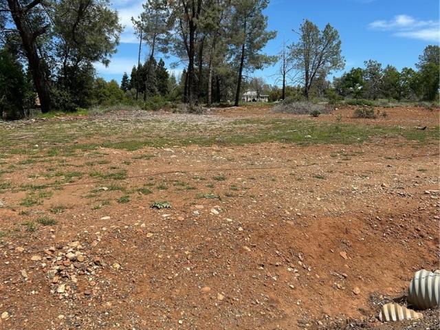 Land for sale in Butte, California
