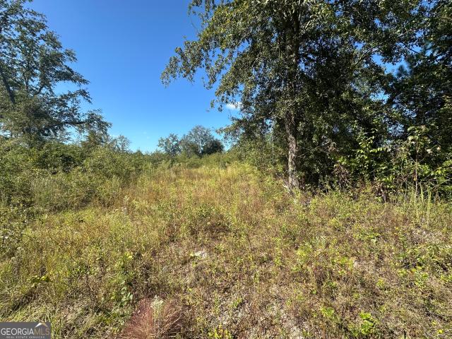 Land for sale in Screven, Georgia
