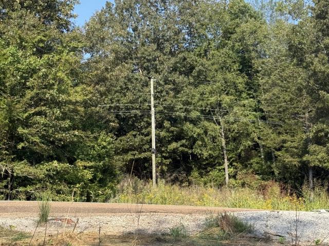 Land for sale in Tennessee